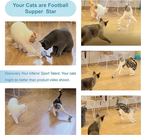 Paquete de juguetes para gatos, con bola interactiva #A-B08WRPR6DS-0407AZ