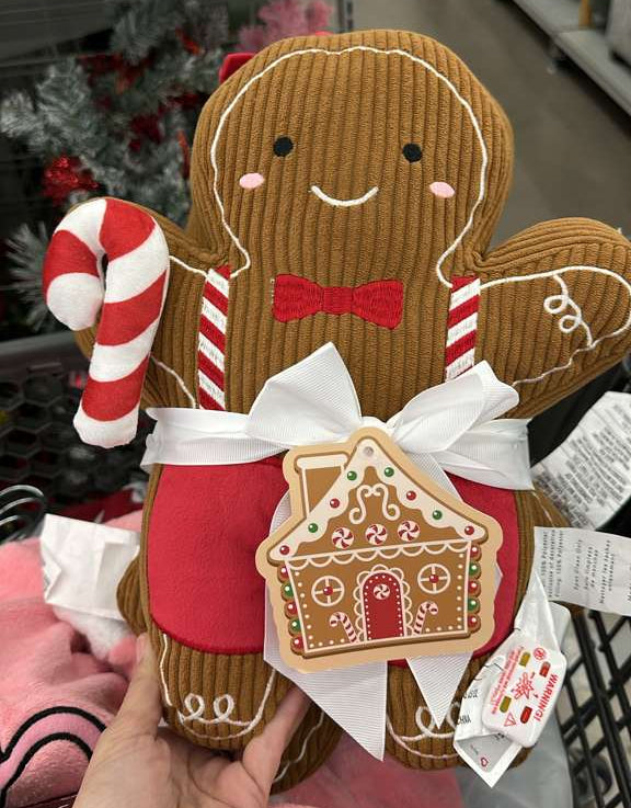 Hogar / Juego de Cojines Decorativos / Familia de Jengibre / 3 piezas /  ZZ / B120725-78133