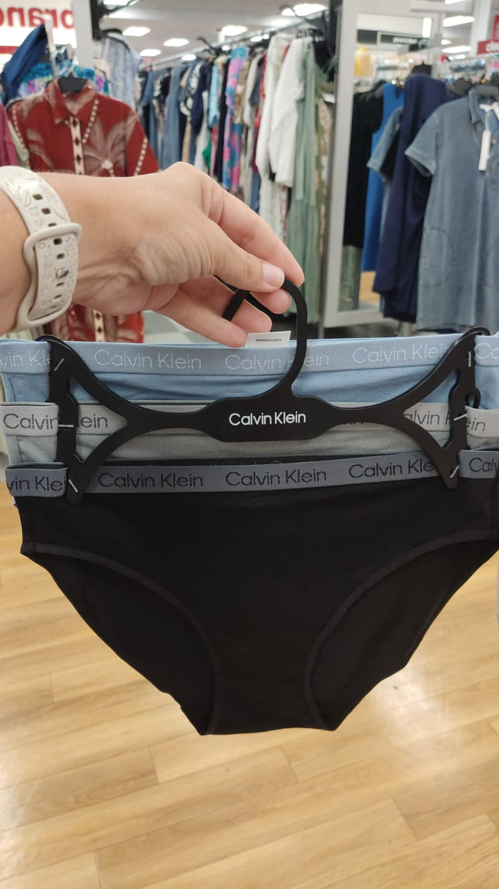 Ropa interior / Calzones Mujer / 3 piezas /CK / TJ081026-3339