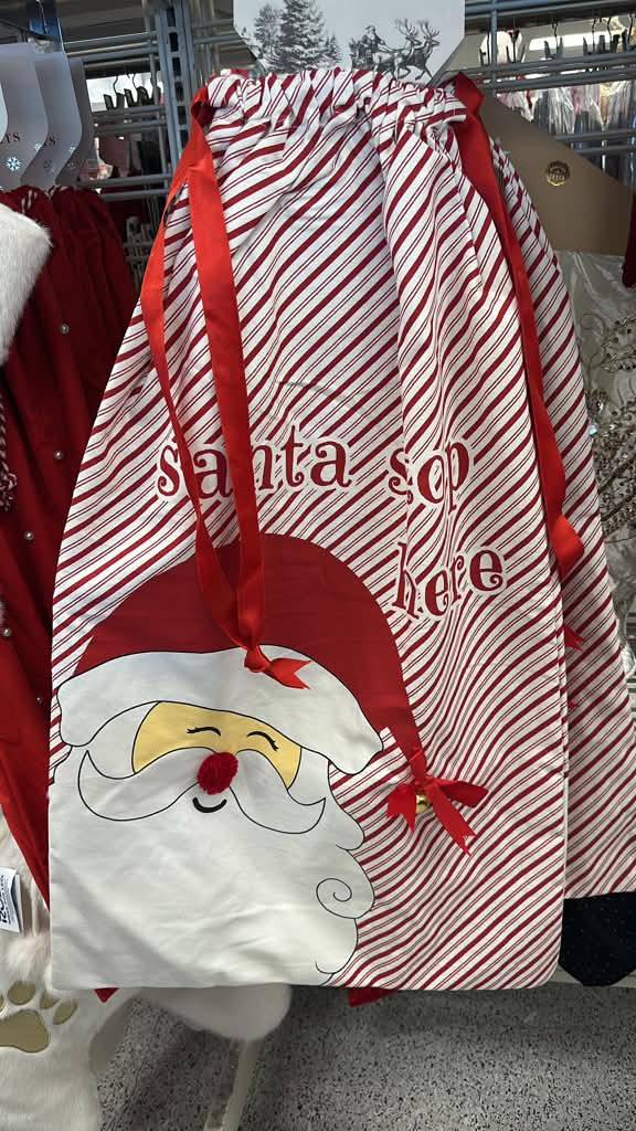 Bolsa de regalo grande / Navidad / ZZ / R111626-6289-0